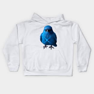 Blue Bird X Kids Hoodie